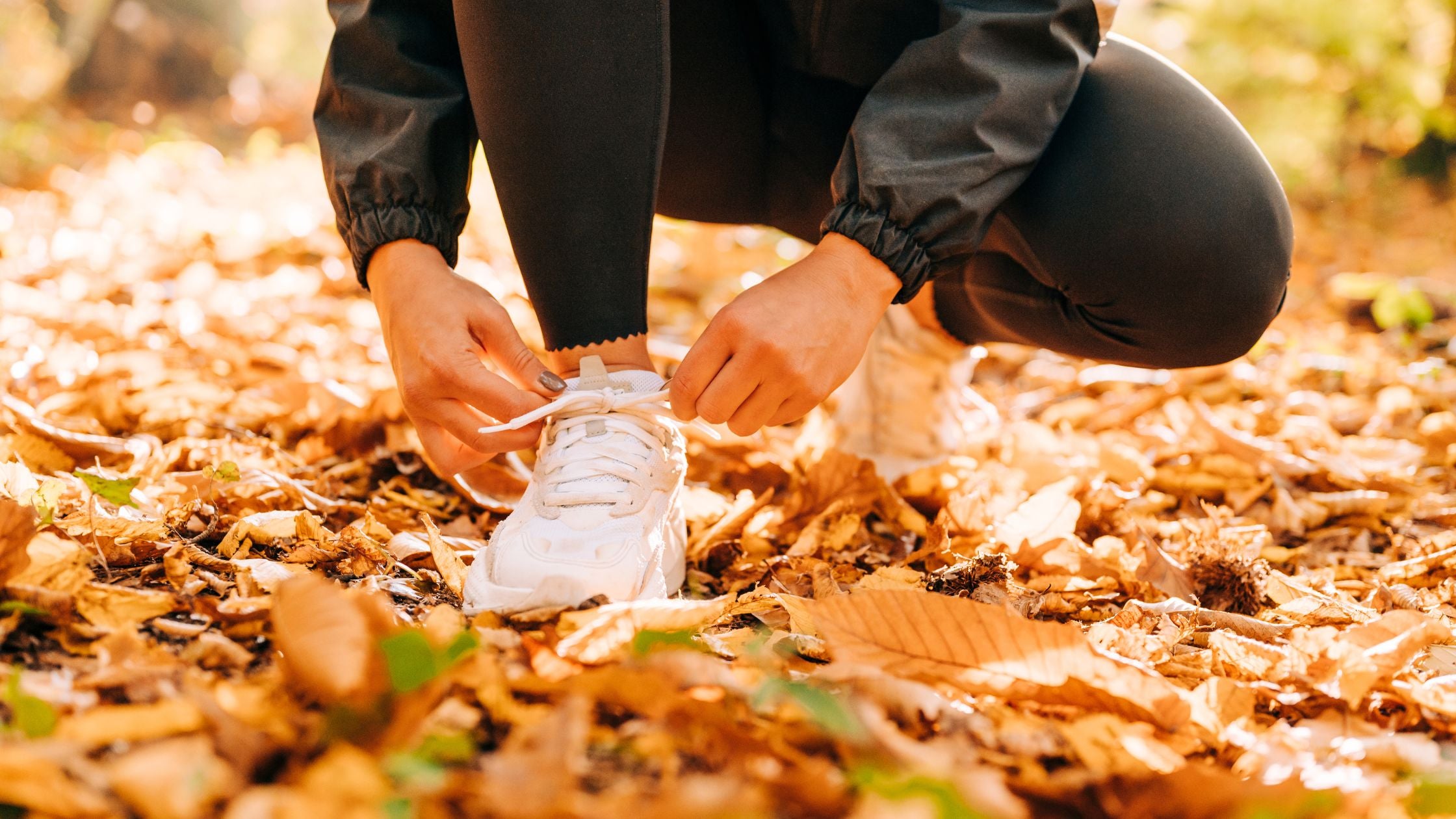 Conquer Holiday Stress with a Hydrated Mind and Body!