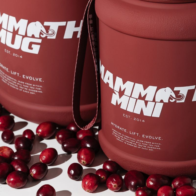 Mammoth Mini 1.5L water bottle in Cranberry - product image 3