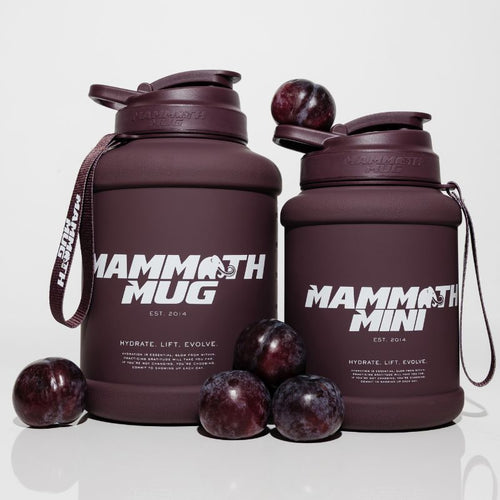 Mammoth Mug 2.5L water bottle in Plum - side view